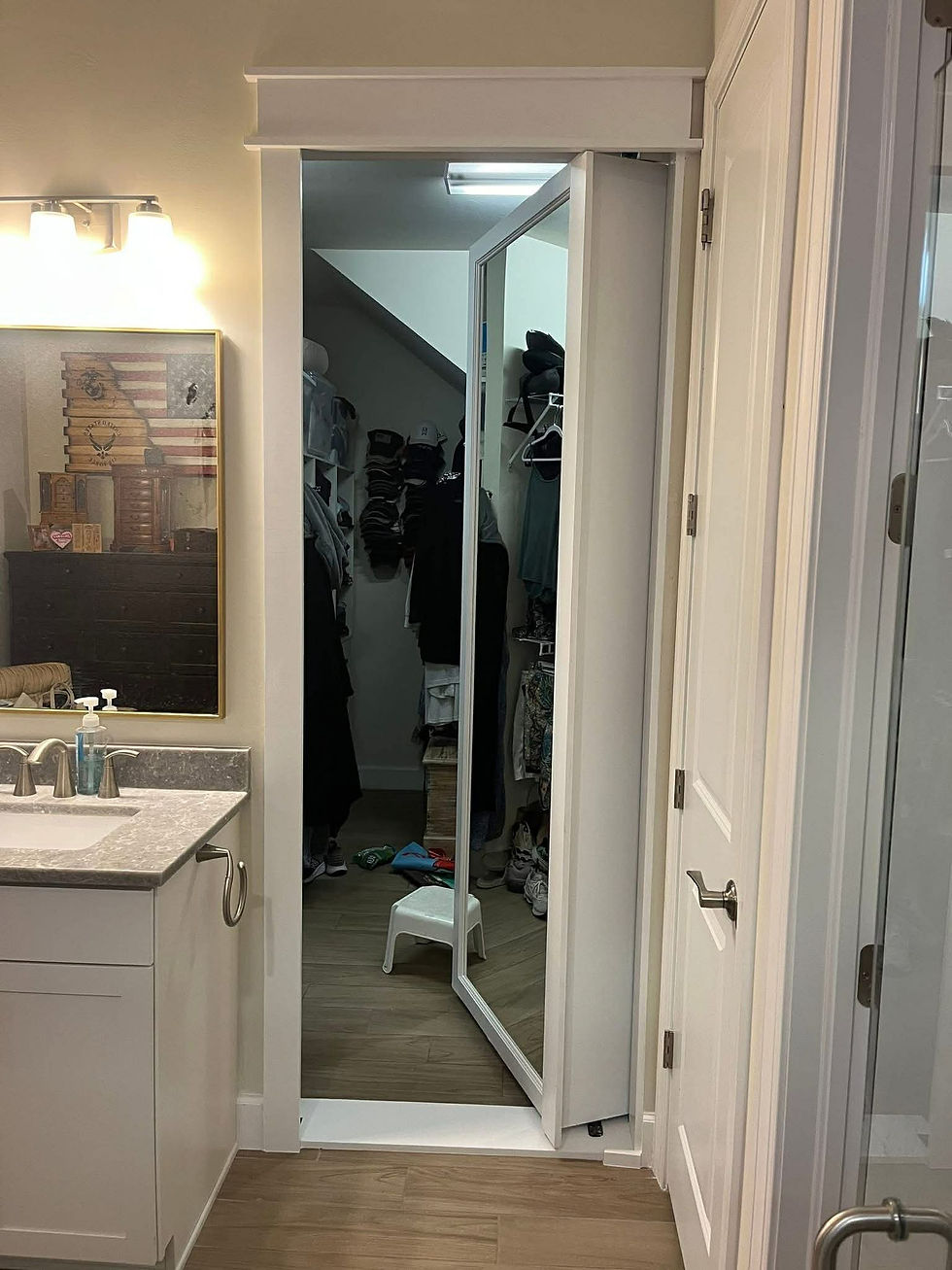 Mirrored hidden door