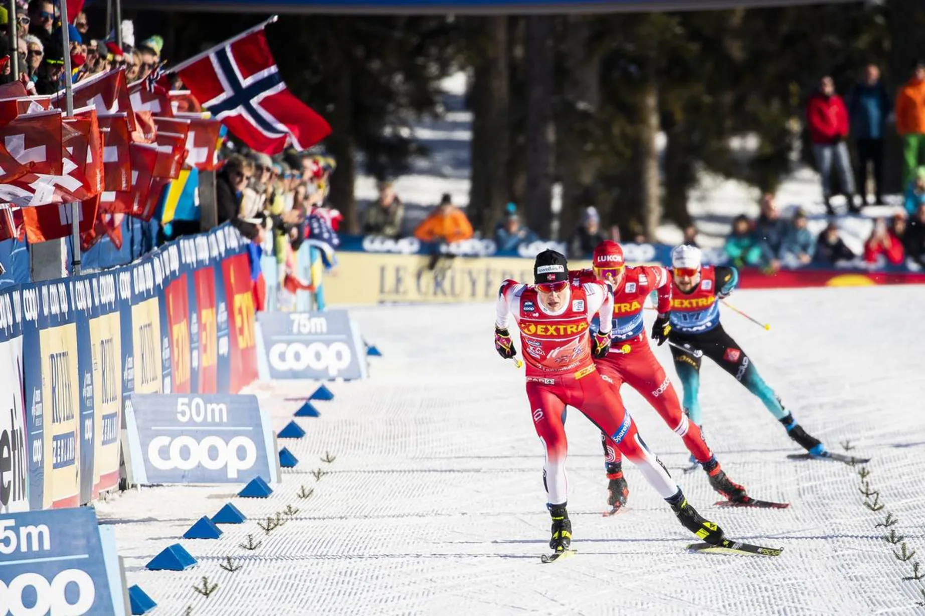 Season_gallery_06_2020_CC.webp