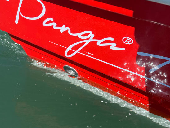 Coque Panga Boat Pro Open - Panga Ferret