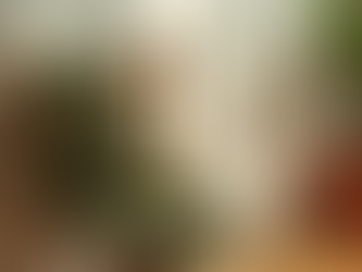 Trendy Women's Pantalon Designs in Organic Cotton