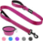 The Best Leashes