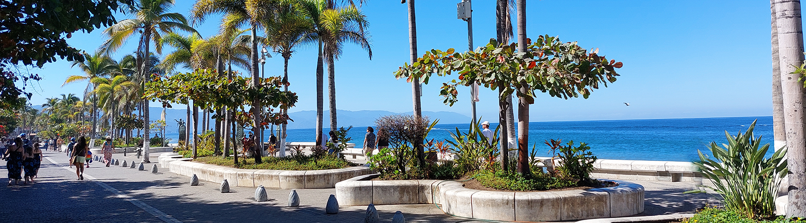 Malecon-Nuevo-crop.webp
