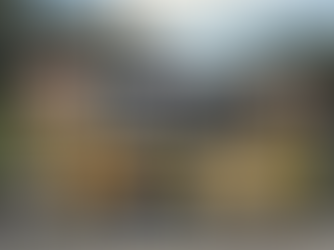 Inaru Hibachi and Sushi Food Truck: A Culinary Experience on Wheels in Irving, Texas