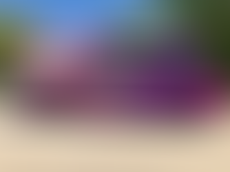 Discover Southern Gourmet Kitchen: A Journey of Southern Flavors in Plano, TX