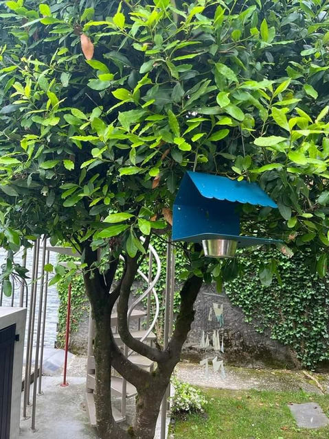 Mangeoire Picoti Bleu Acapulco - FERMOB