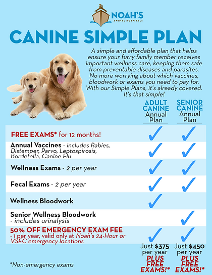 noah's emergency animal hospital