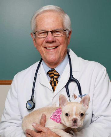 Untitled design (70).png