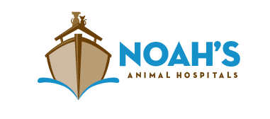 noahs animal hospitals indianapolis emergency veterinarian noahs animal hospitals indianapolis emergency veterinarian