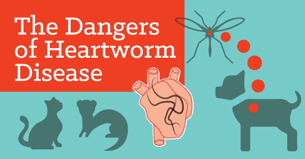 heartworm medication cost