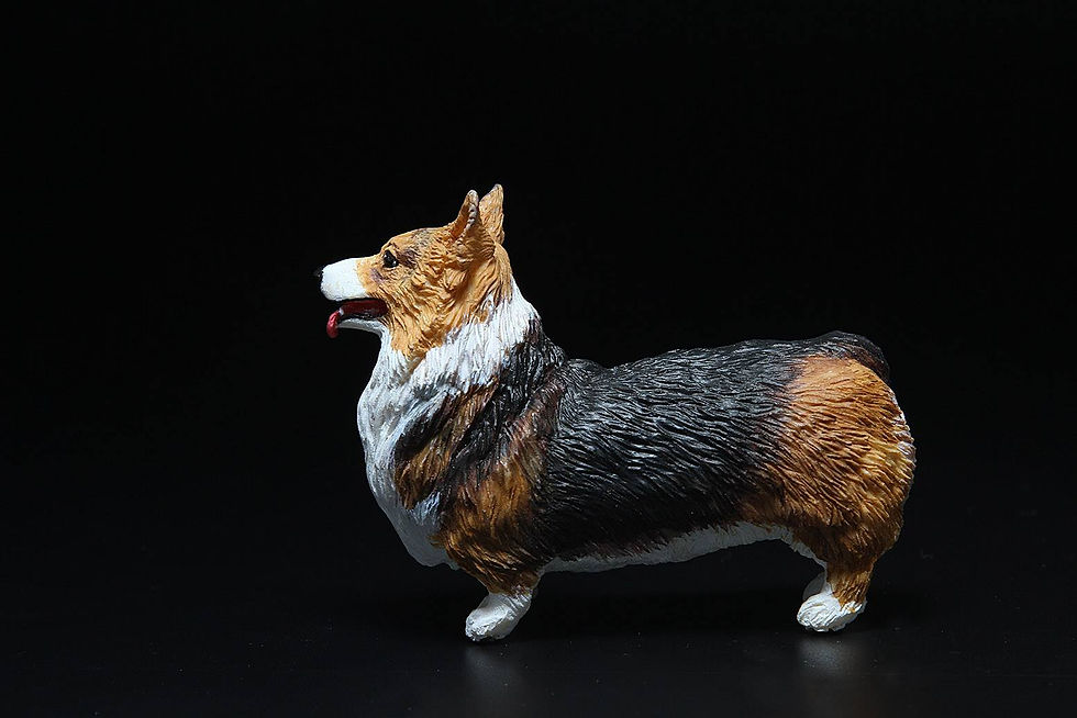 Thumbnail: Corgi 柯基犬