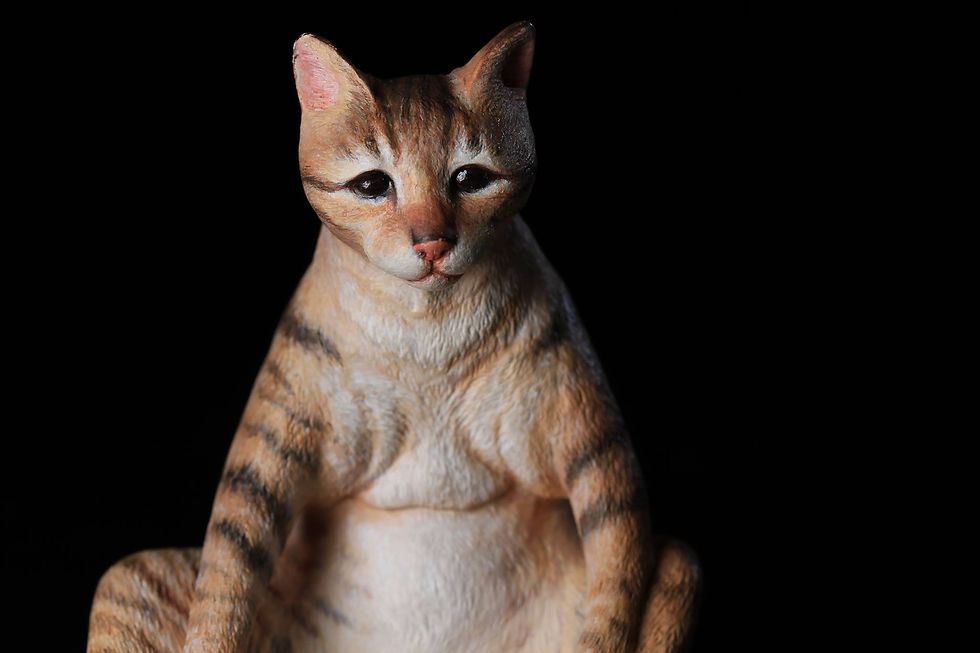 Thumbnail: Mix Cat 貓