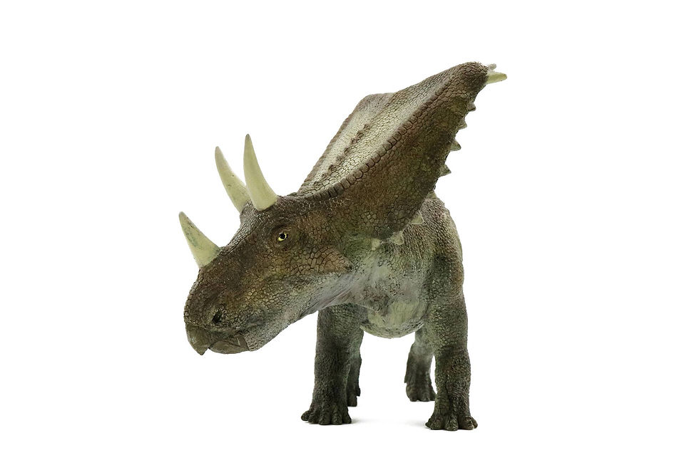 Thumbnail: Chasmosaurus  加斯莫龍