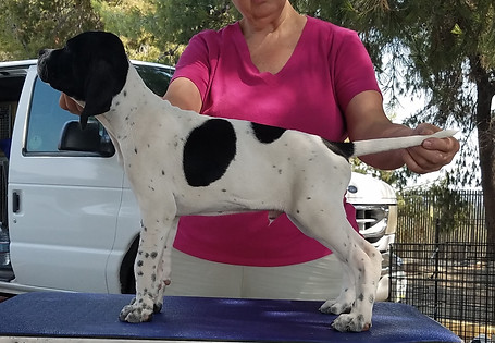 JxS 8-4-18 Green G.jpg