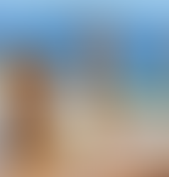 The Sicilian Dragons – Synopsis