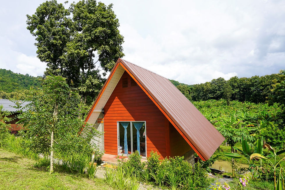 Trikonasana House