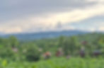 20240718_220859.jpg