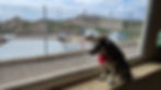 Brooky (12)