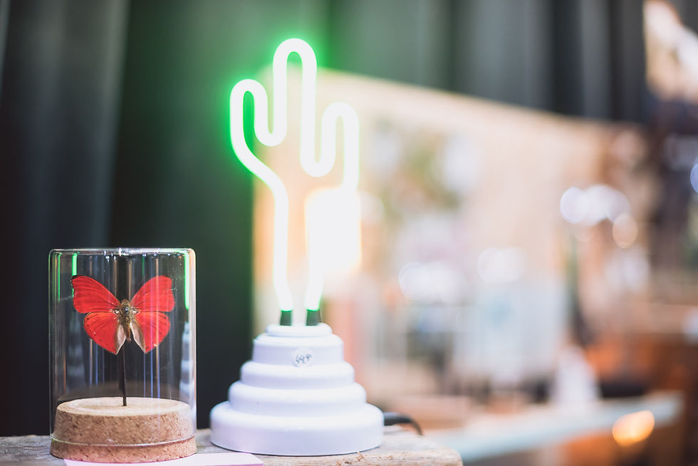 De Vitrine Brugge (c) Silvie Bonne