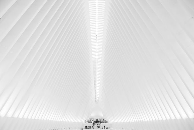 O! Oculus!