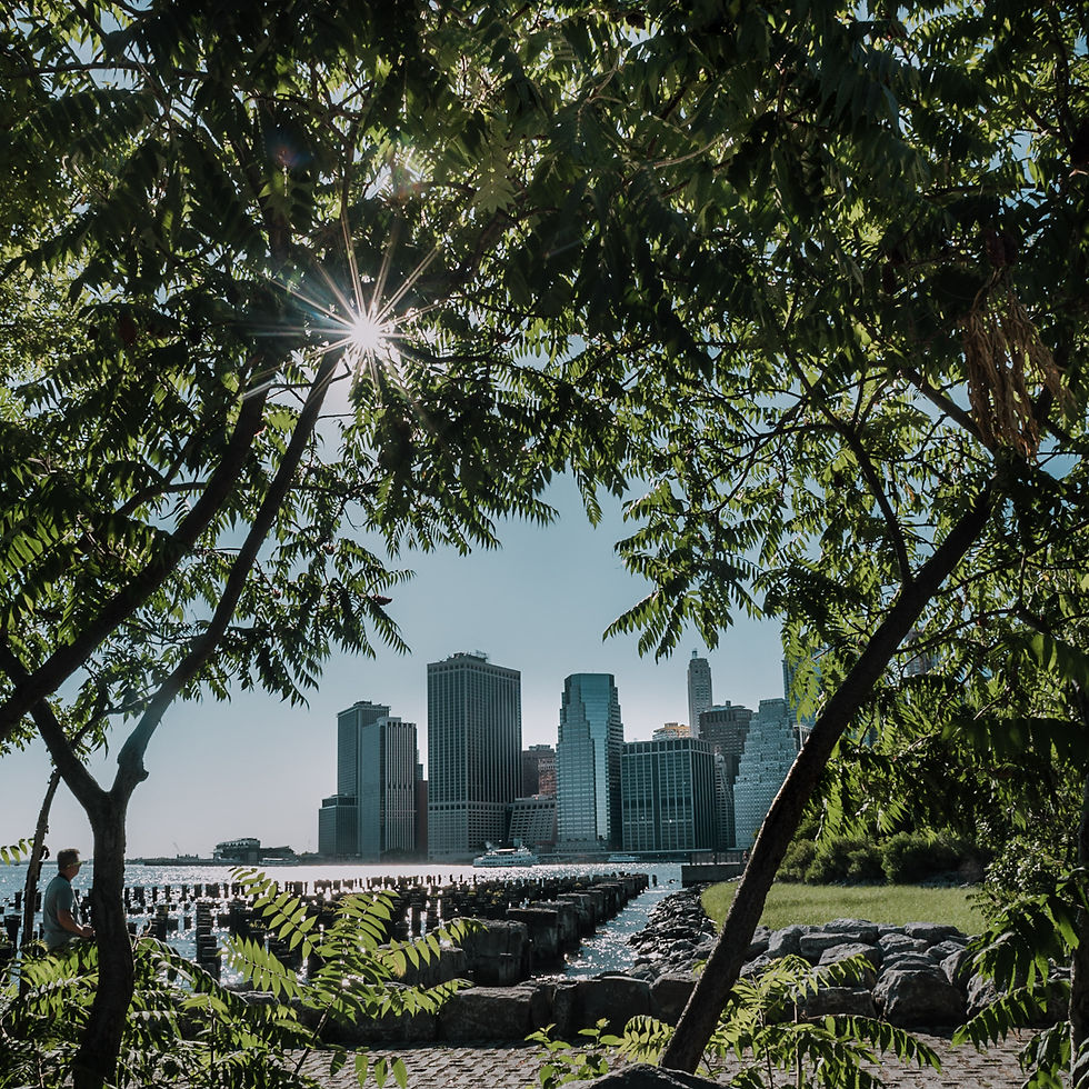 Brooklyn Bridge Park (c) Silvie Bonne