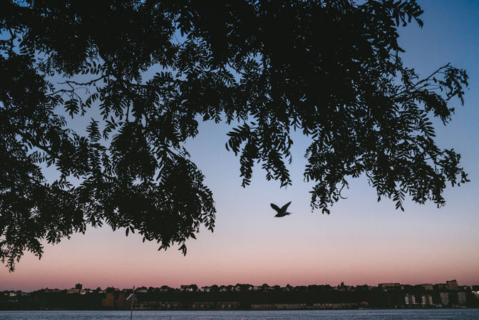 From dusk till down