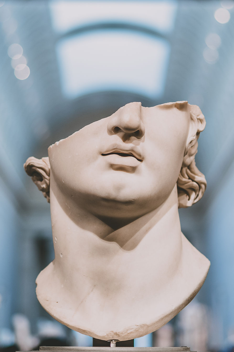 The Metropolitan Museum of Art (c) Silvie Bonne