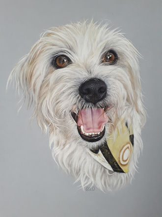 dog art
pet portrait
commission
border terrier cross