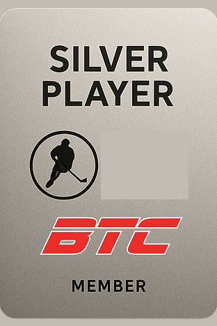 Copie de Sans titre (1).png