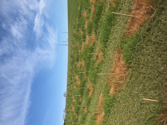 image1.jpeg