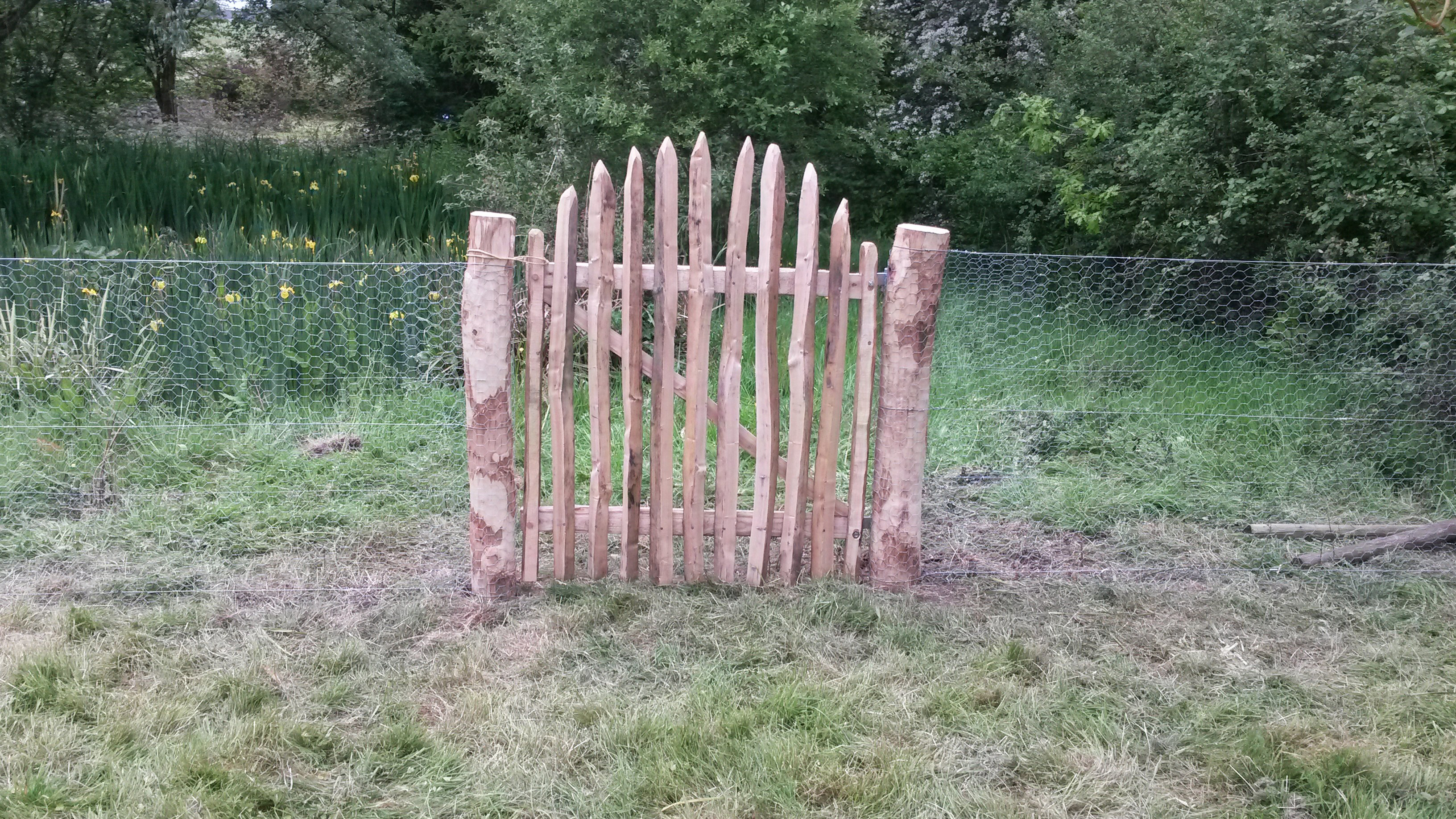 picket gate arched.jpg