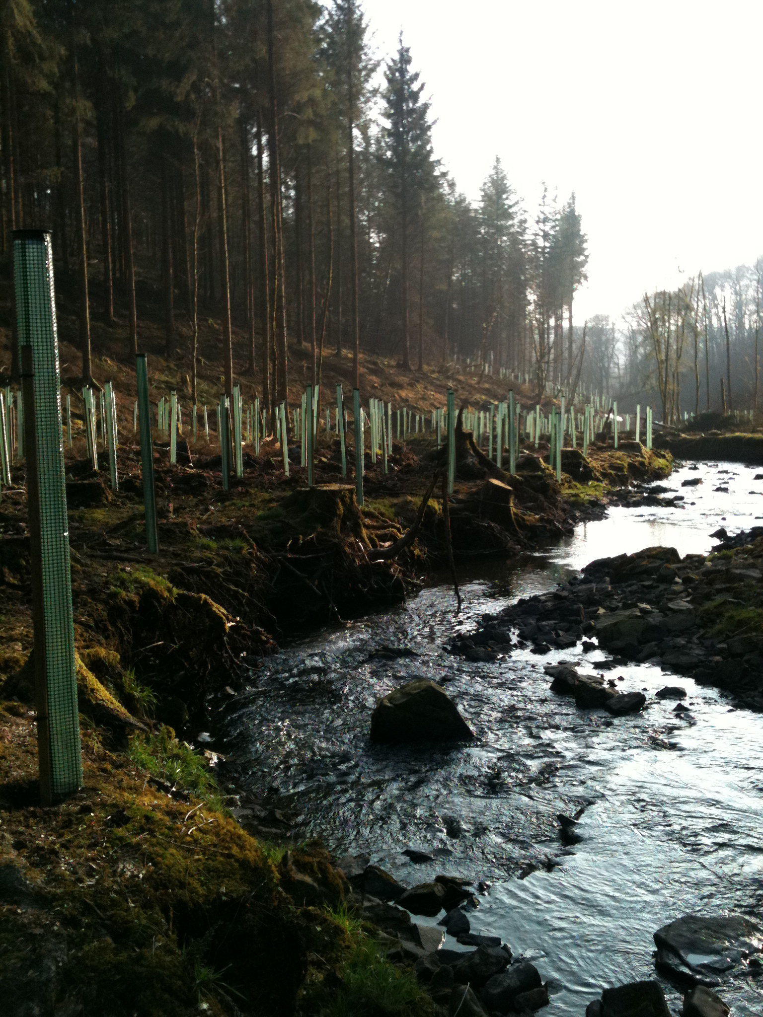 2012-02-29 15.42.01.jpg
