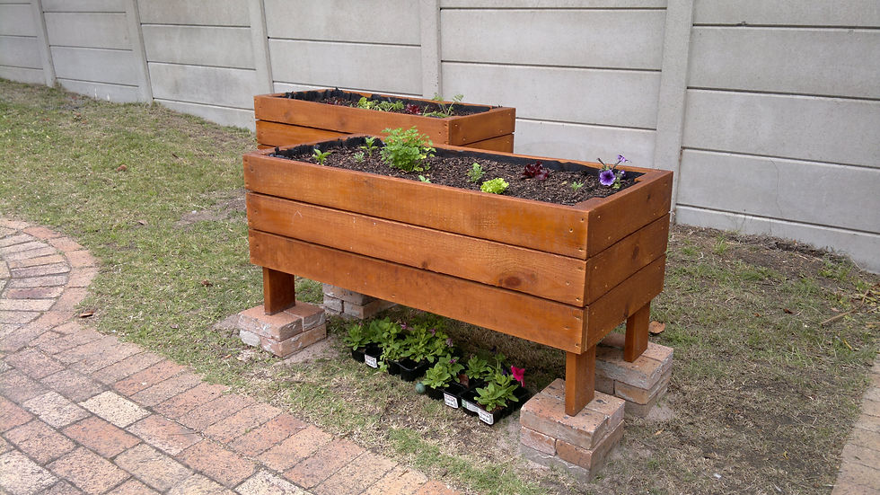 Eden Planters