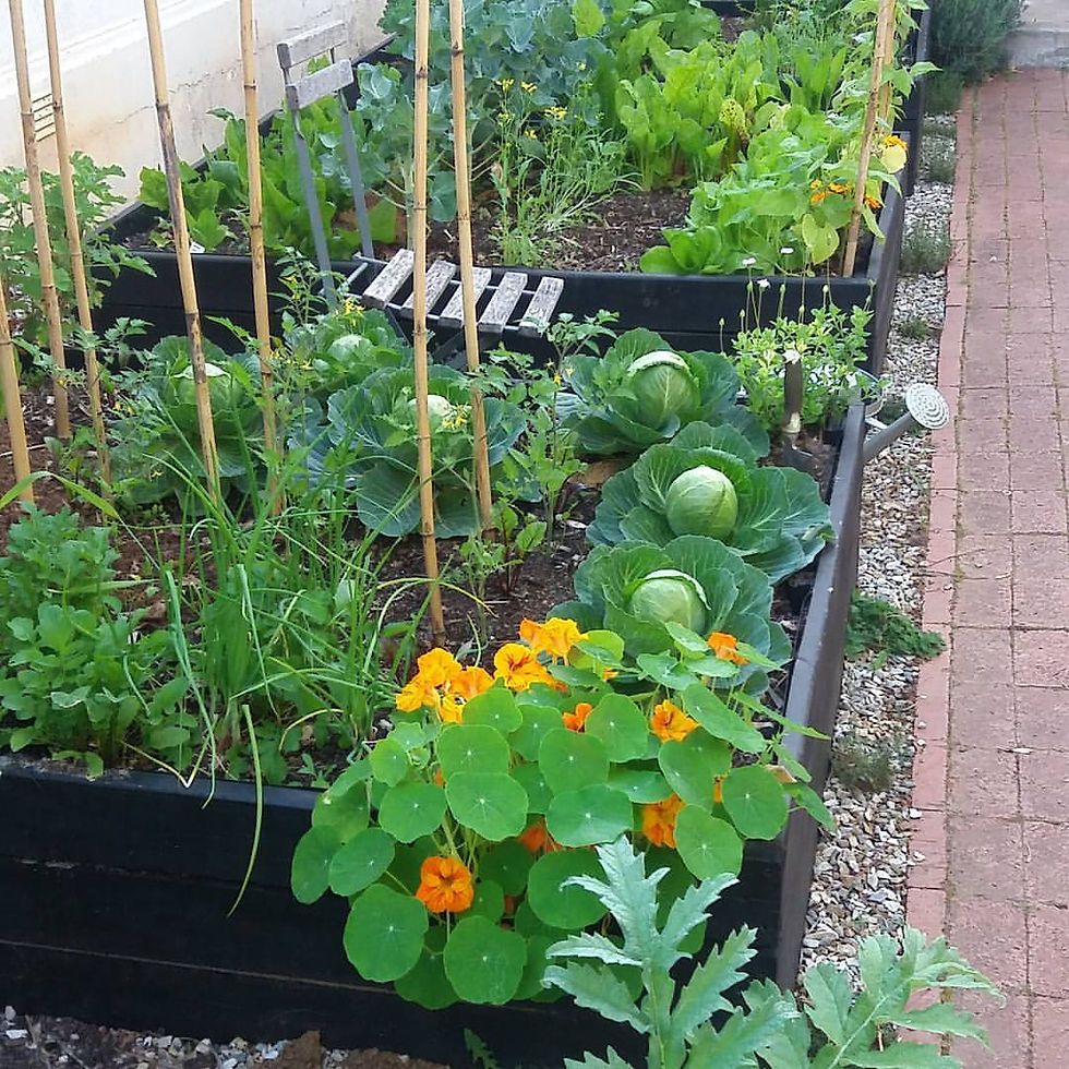 Eden Planters