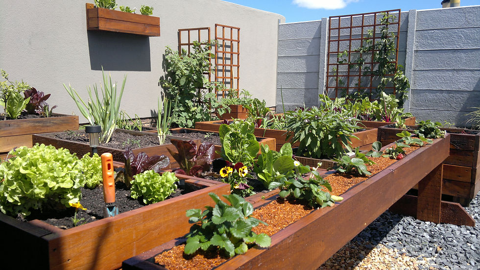 Eden Planters