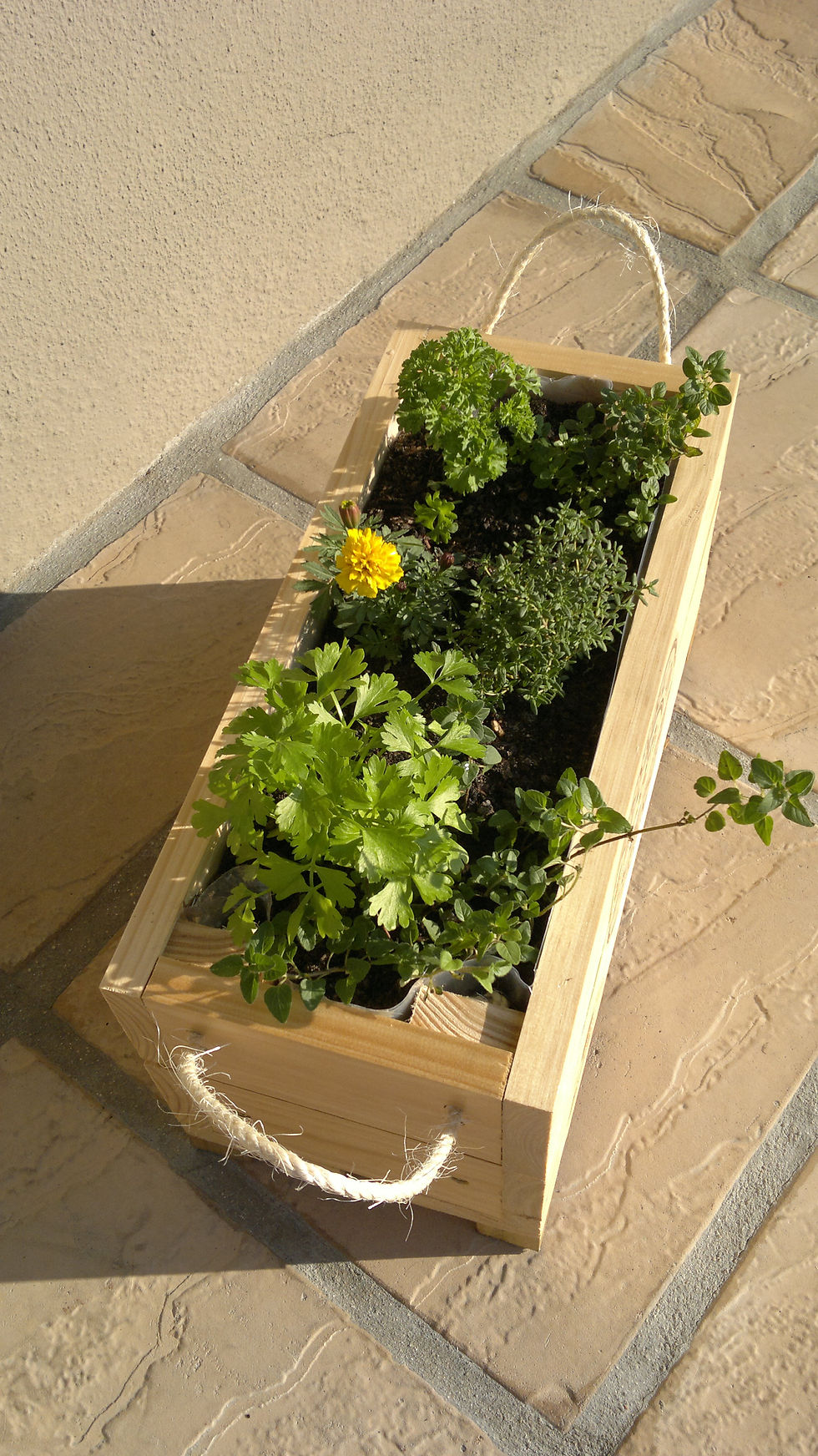Eden Planters