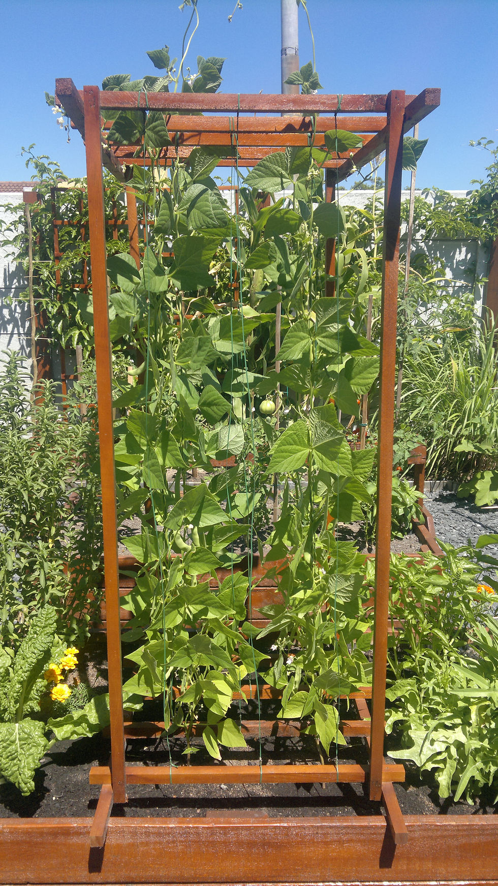 Eden Planters