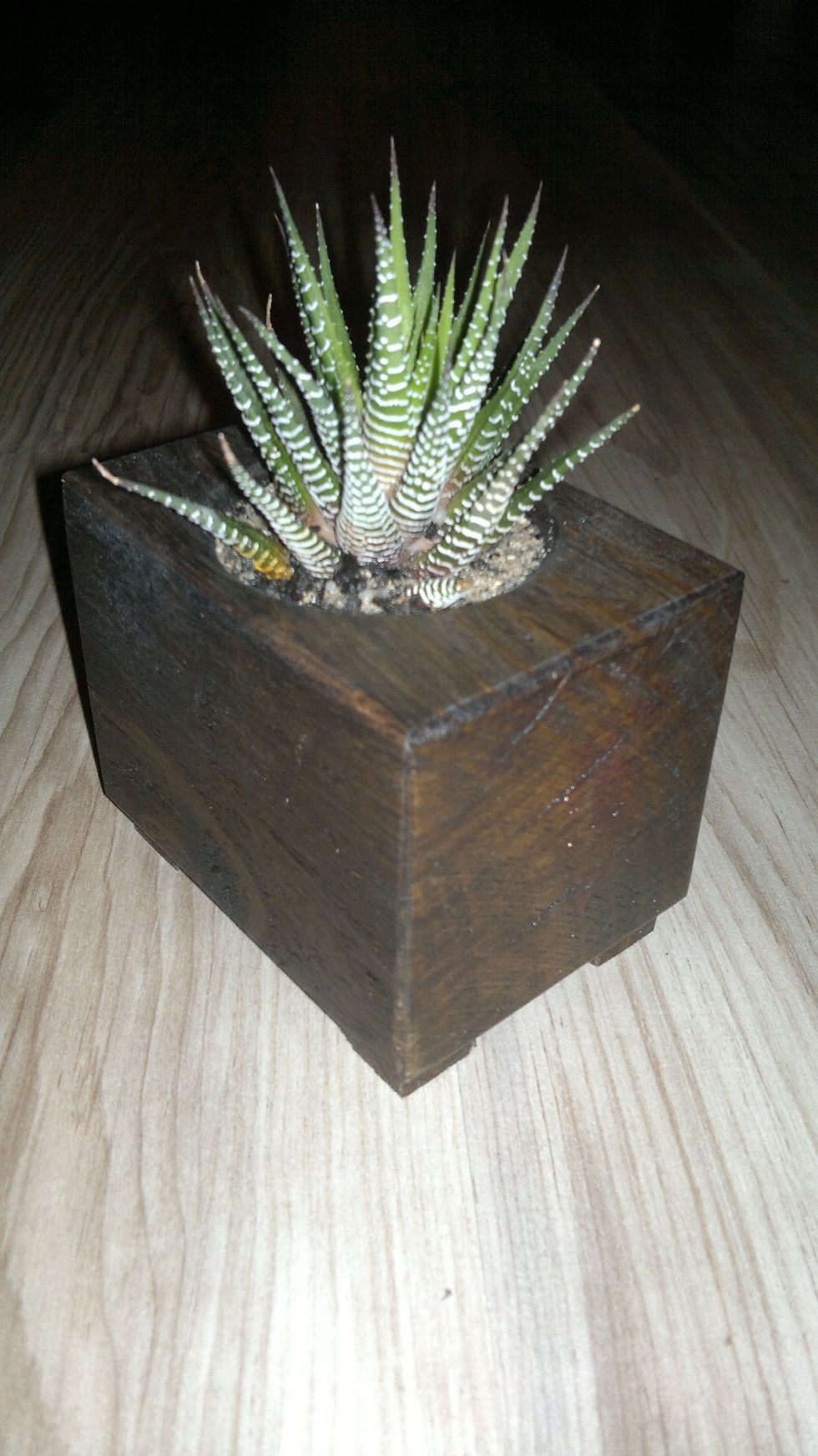 2013-07-15-3999