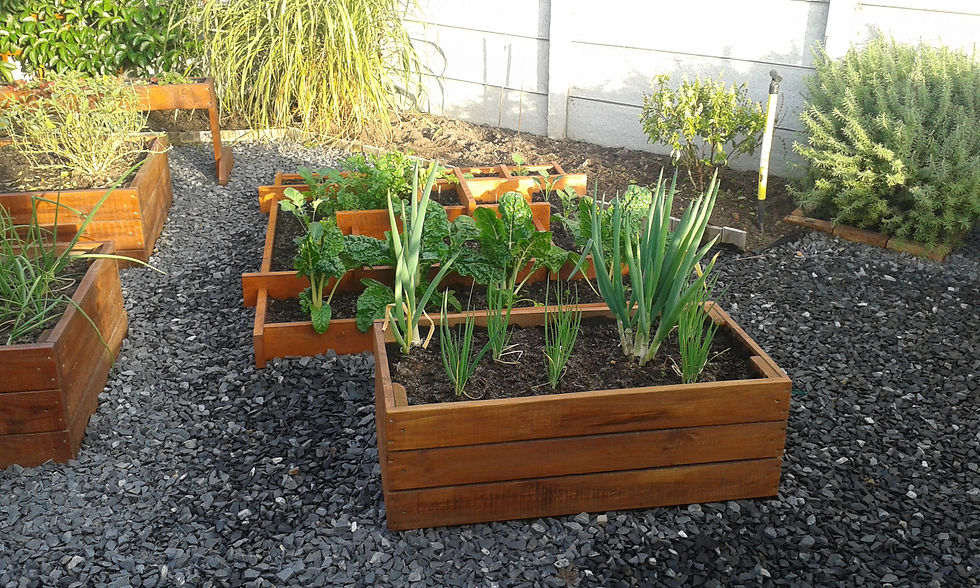 Eden Planters