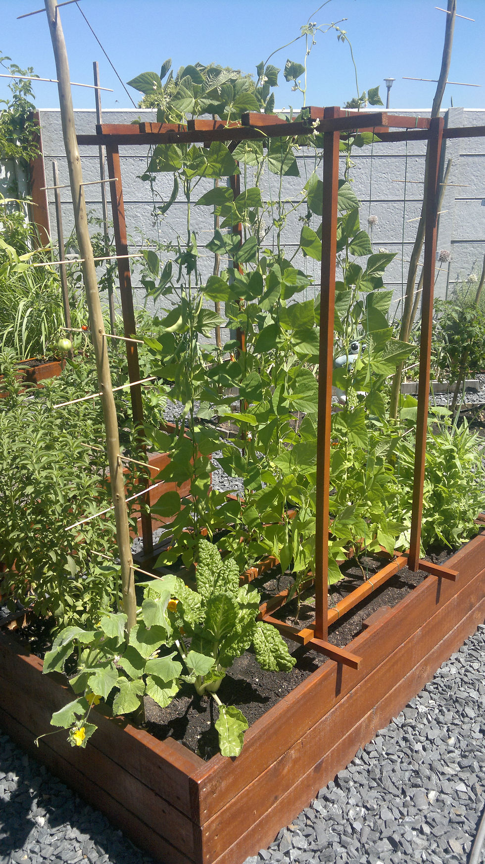 Eden Planters