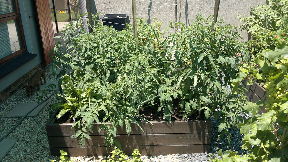 Eden Planters
