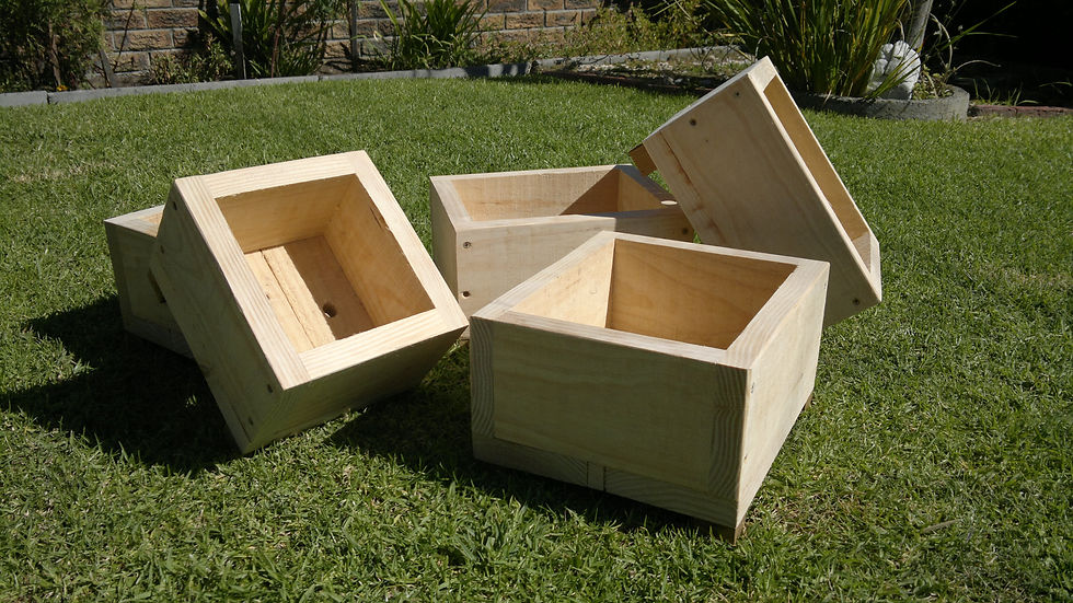 Eden Planters