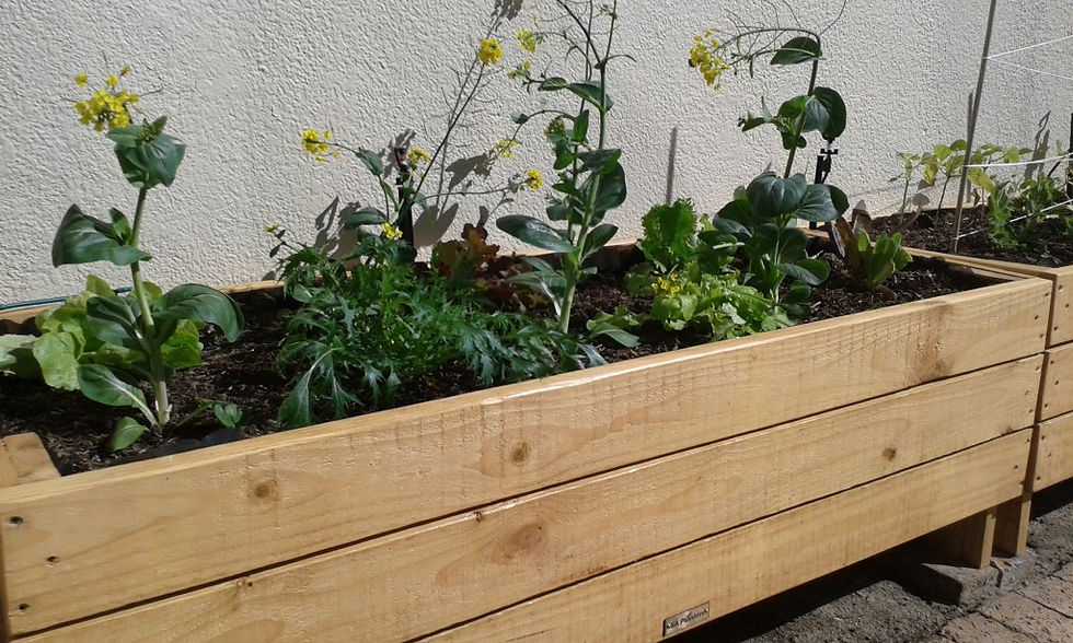 Eden Planters