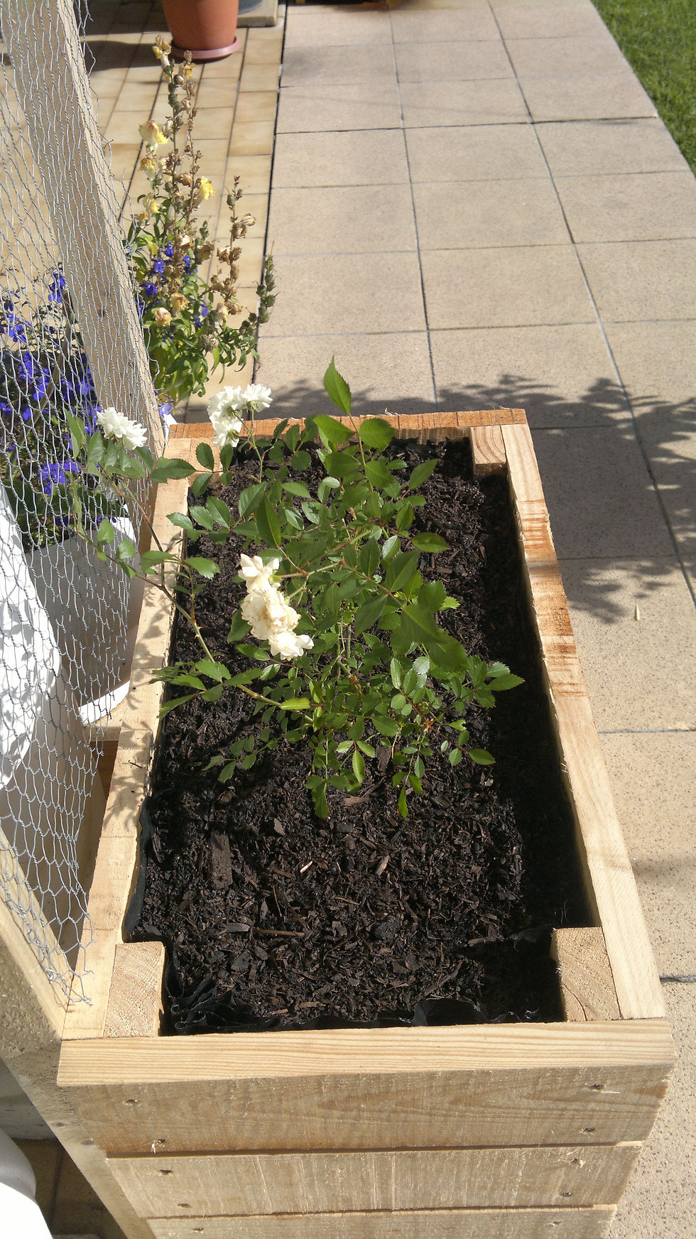 Eden Planters