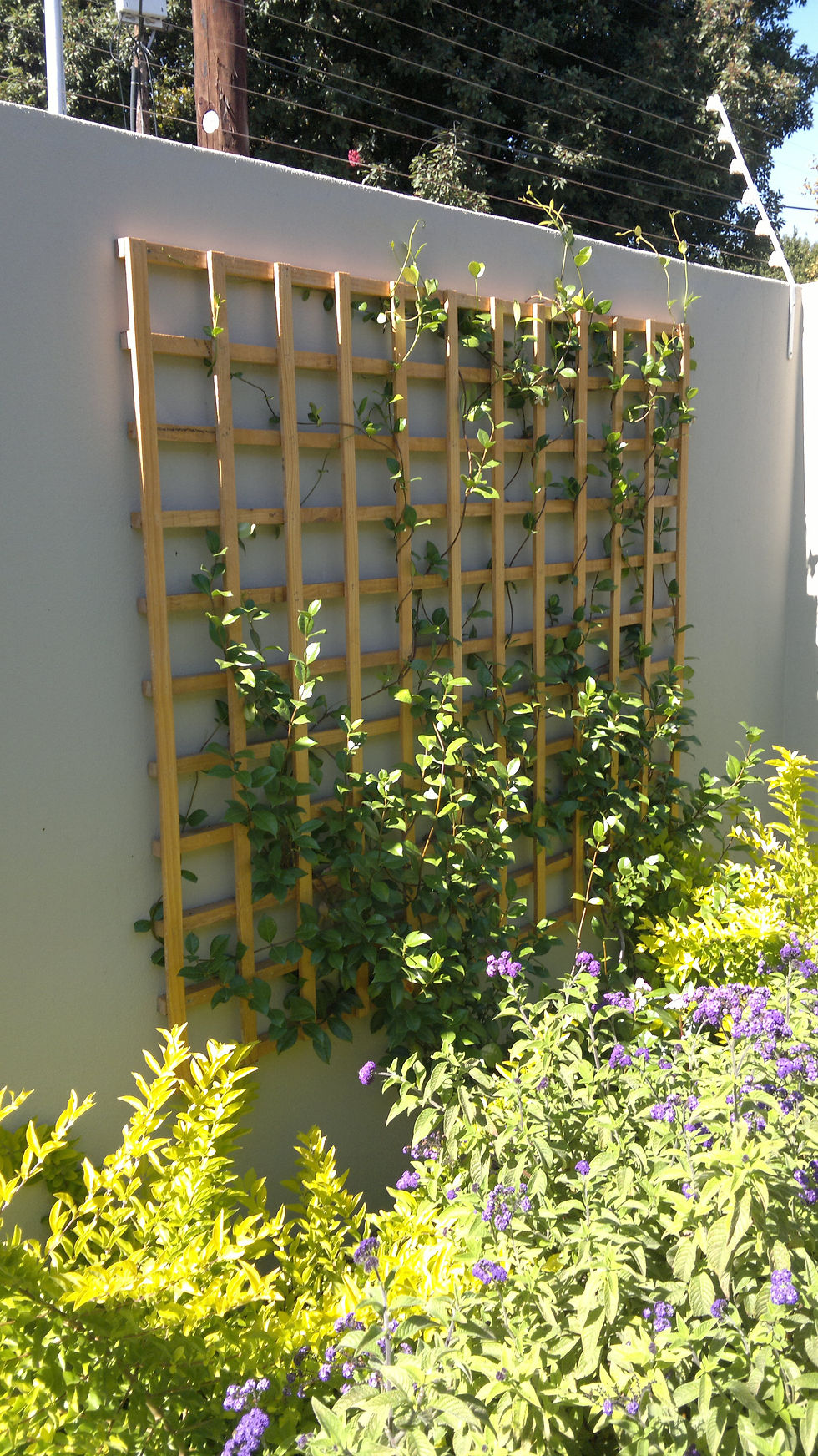 Eden Planters