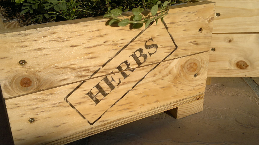 Eden Planters