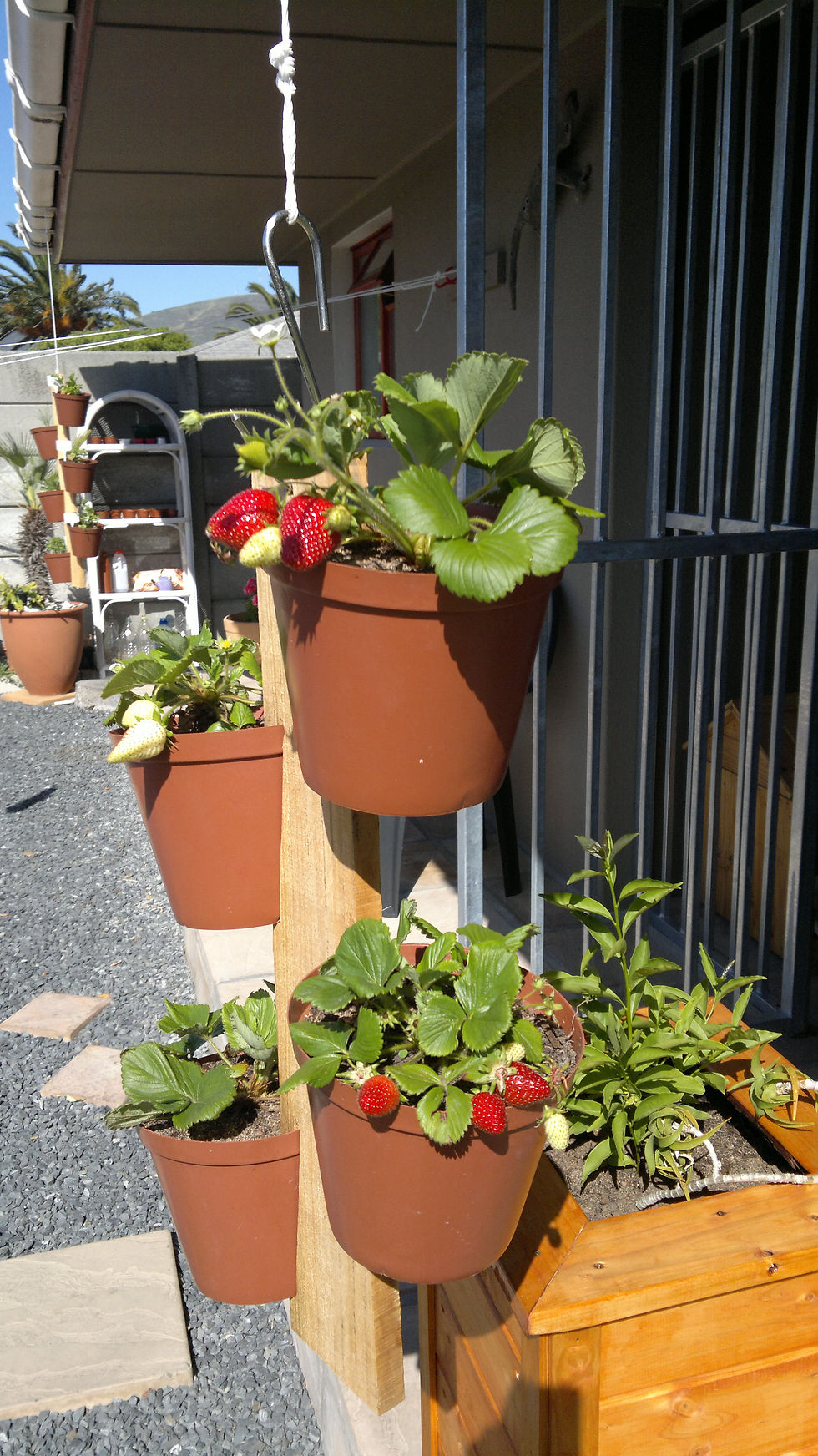Eden Planters