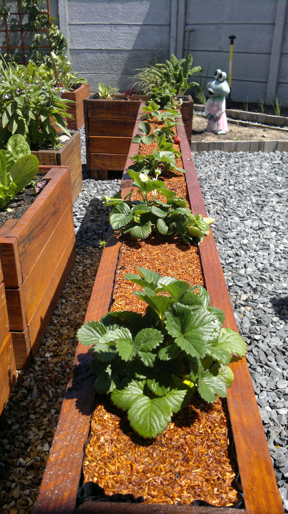 Eden Planters