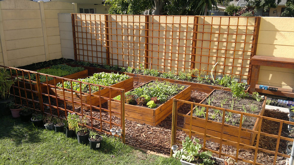 Eden Planters