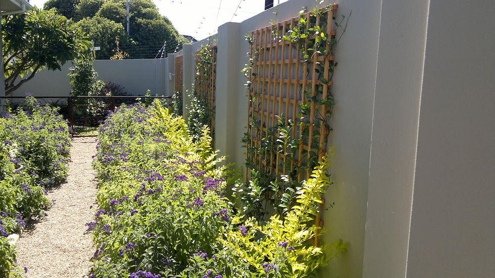 Eden Planters