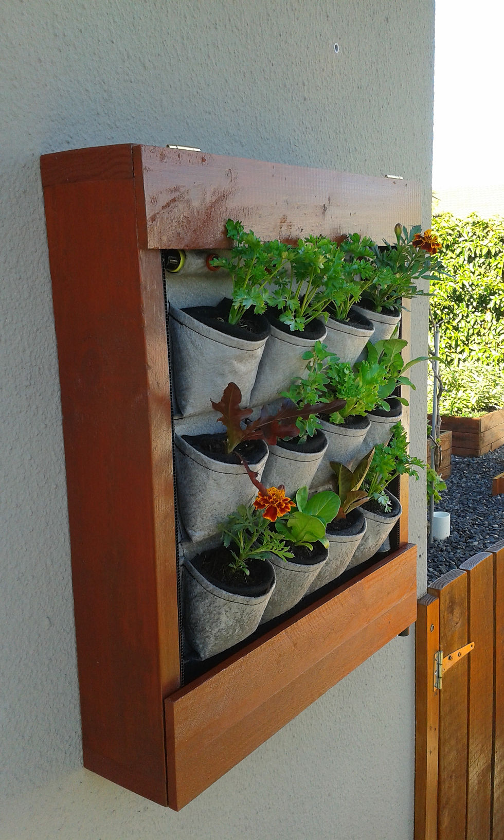 Eden Planters
